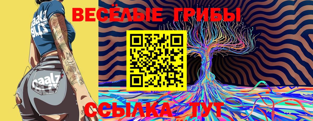 Галлюциногенные грибы Psilocybine cubensis Нальчик